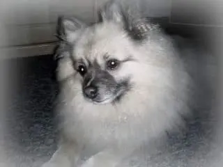 Image from Felix