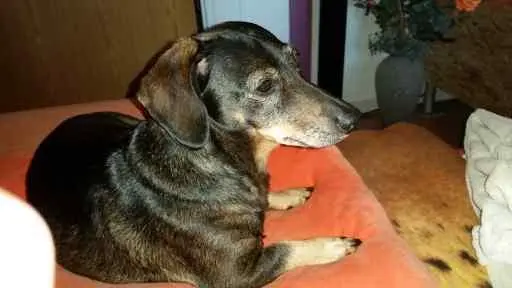 Bild von Jackie