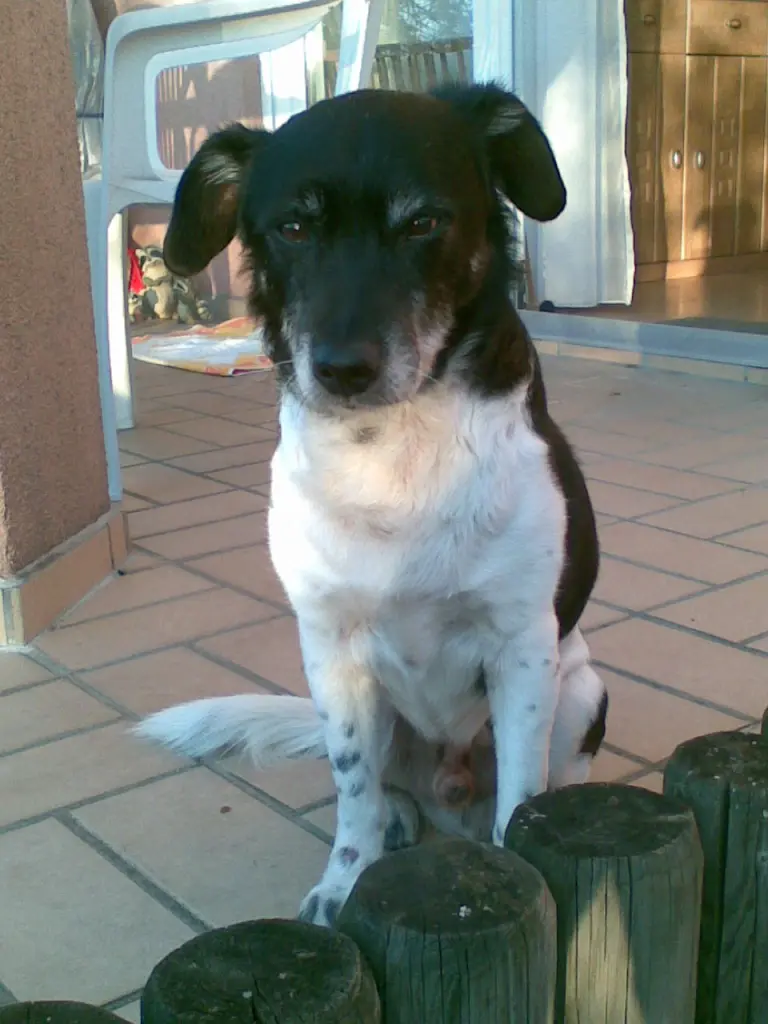 Image from Maxi