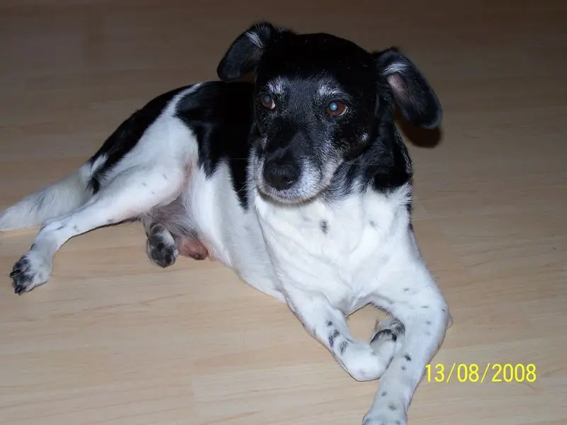 Image from Maxi