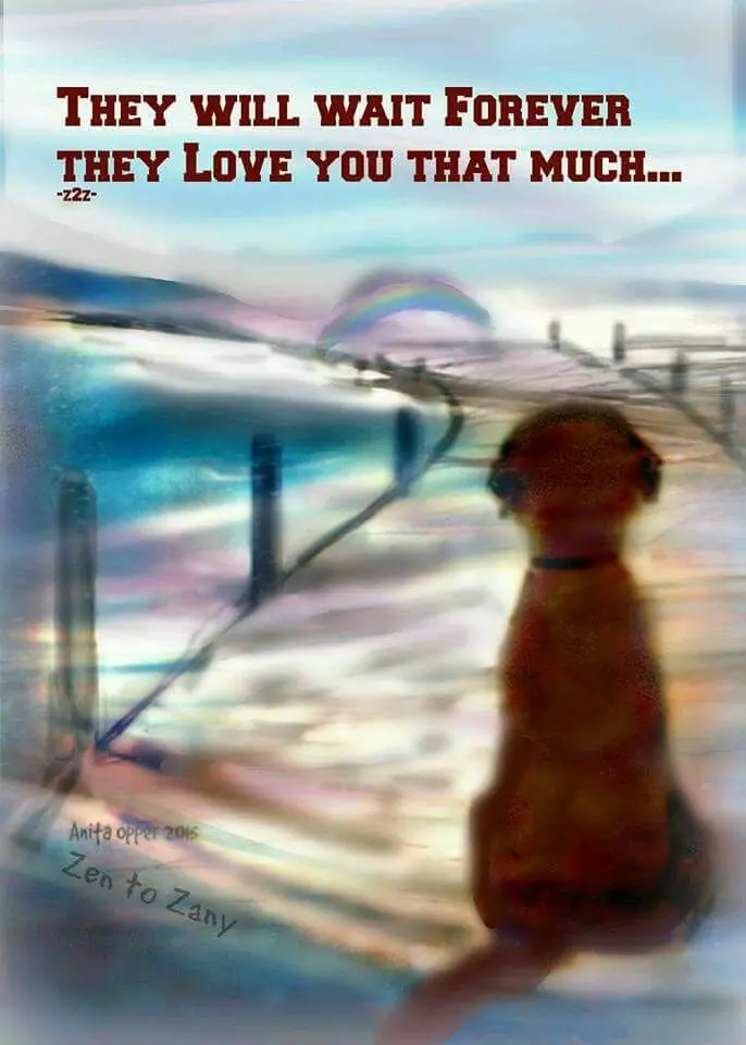 Condolence image of Andrea mit Minki im ❤