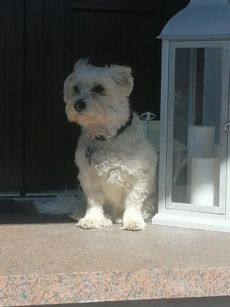 Bild von Tessa