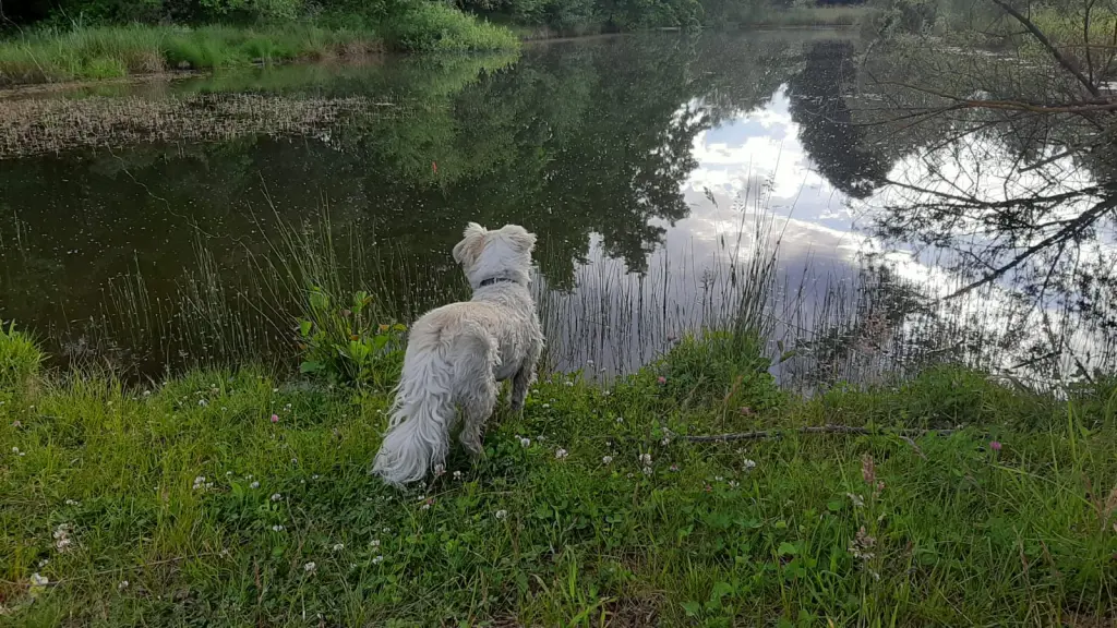 Bild von Tessa
