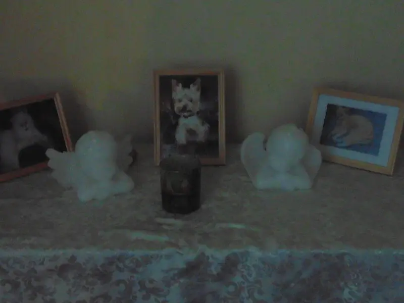Condolence image of Steffi