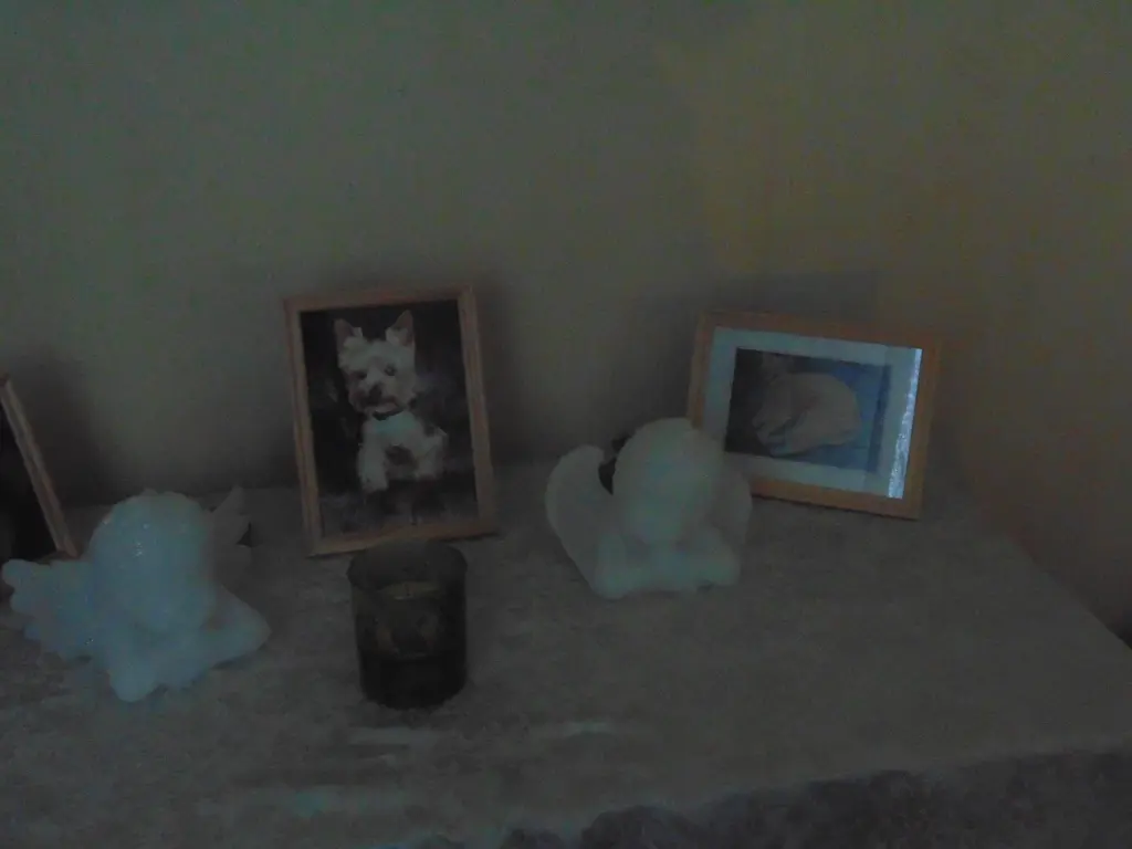 Condolence image of Steffi