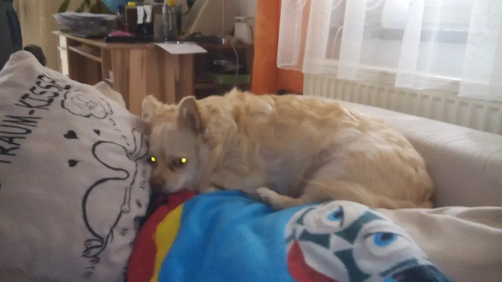 Image from Chichi (oder Chich)