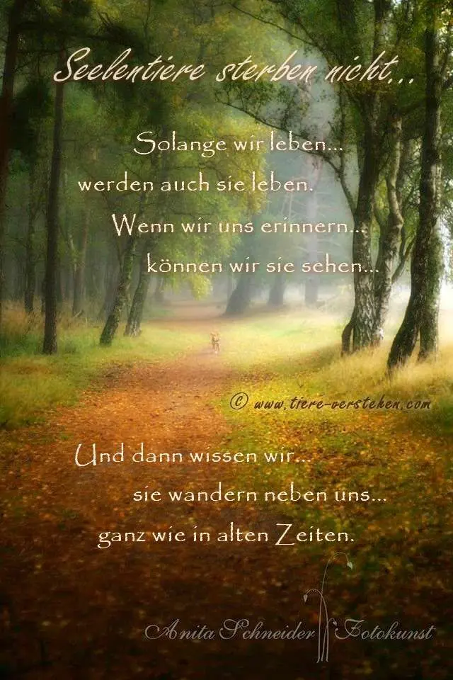 Condolence image of Andrea mit Minki im ❤ gest.19.10.20
