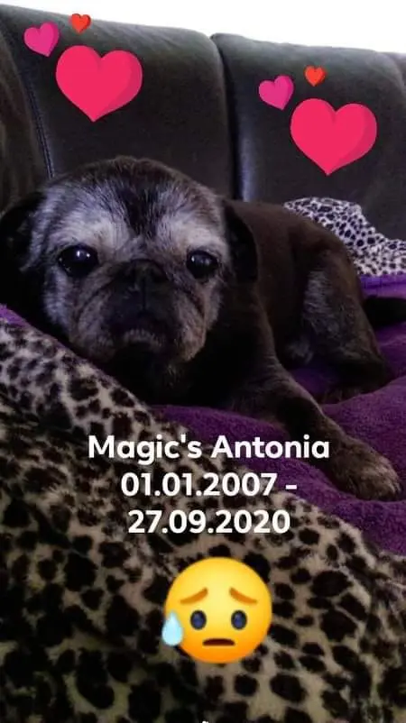 Image from Antonia