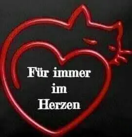 Condolence image of Susanne Küffhausen