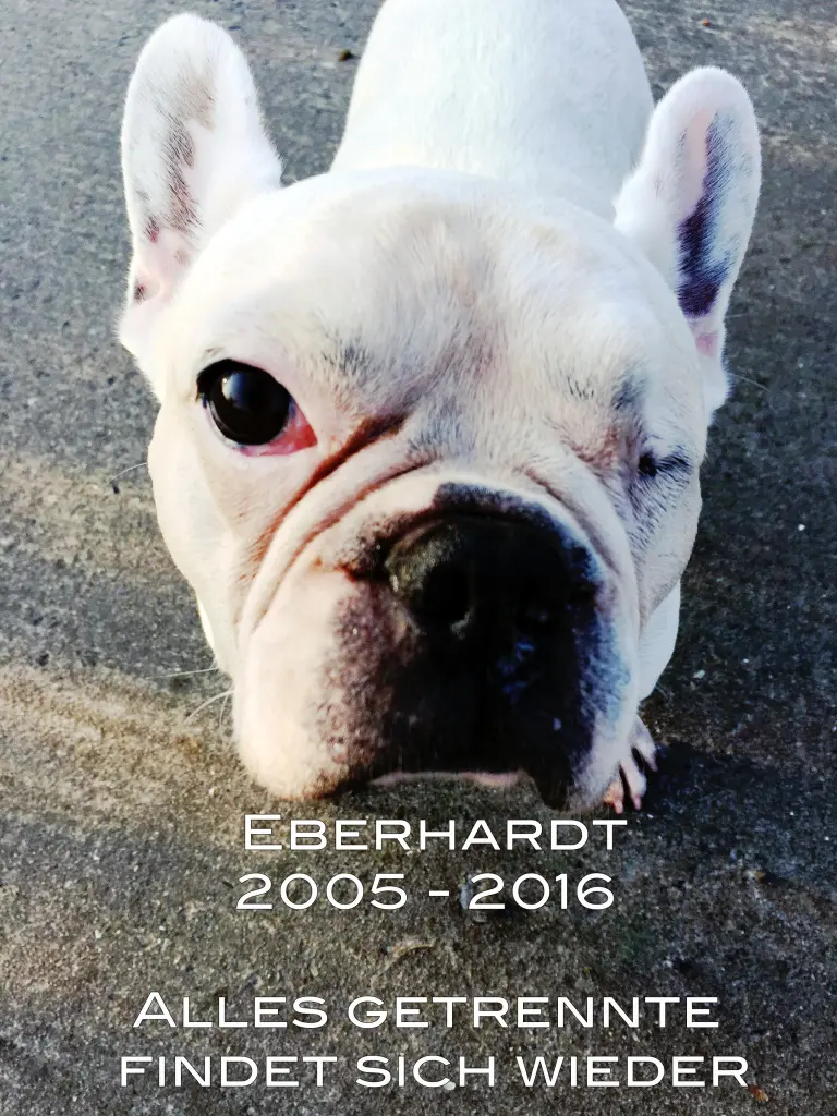 Image from Eberhardt