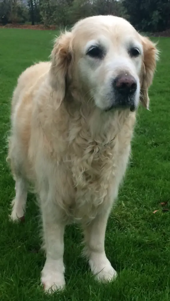 Condolence image of Sylvie