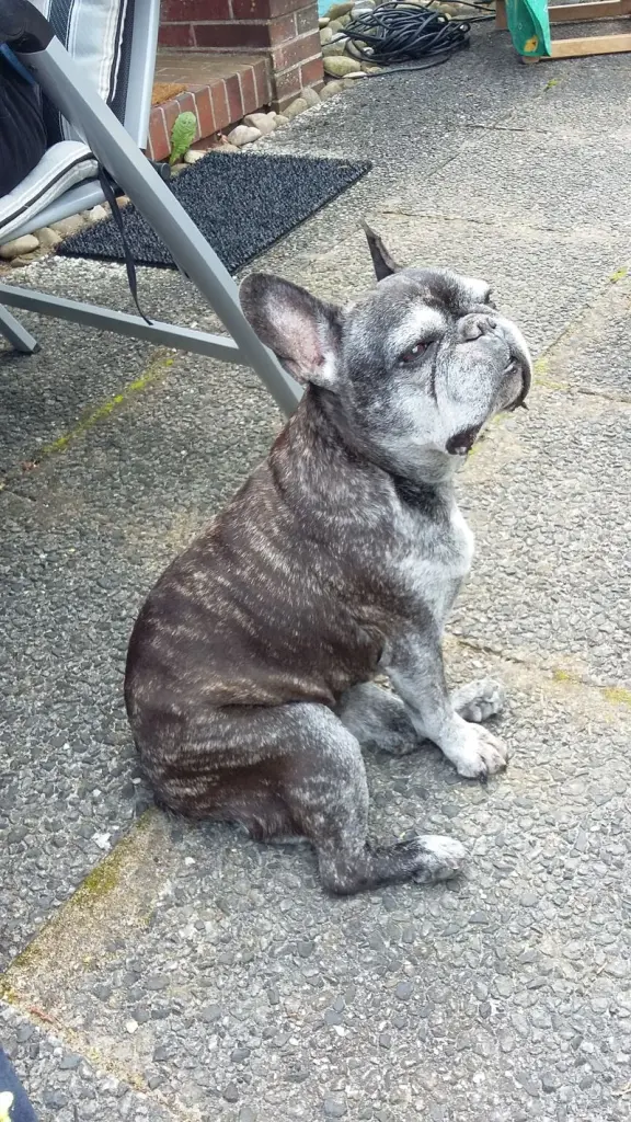 Condolence image of Christiane