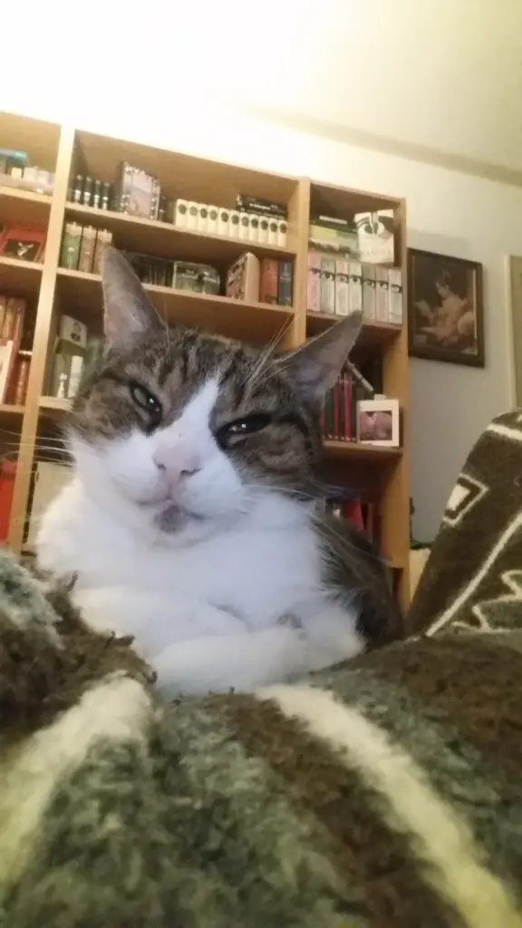 Image from Pepper
