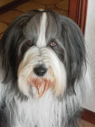 Image from Athos