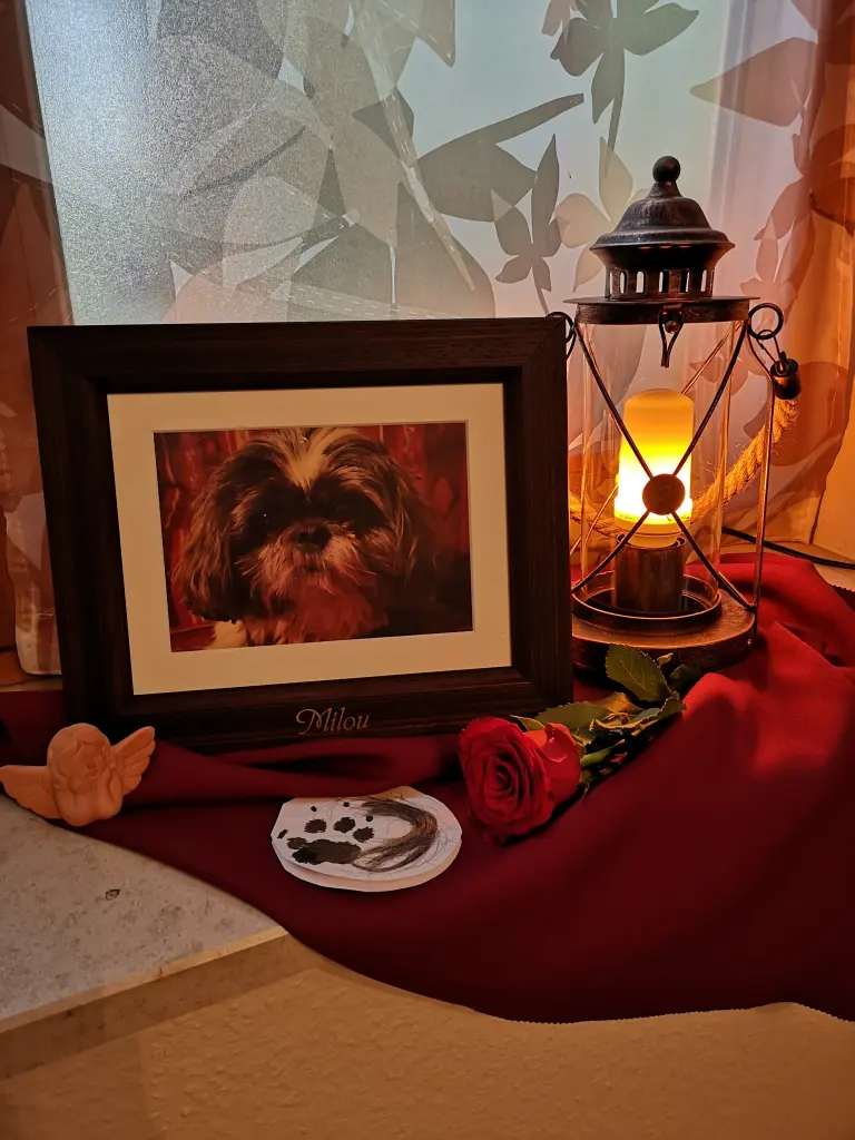 Condolence image of Evelyn