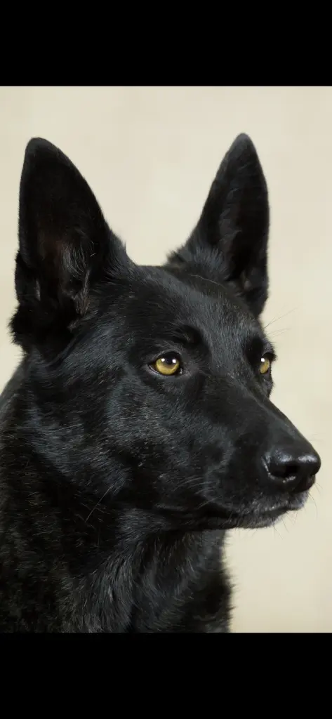 Condolence image of Unbekannt