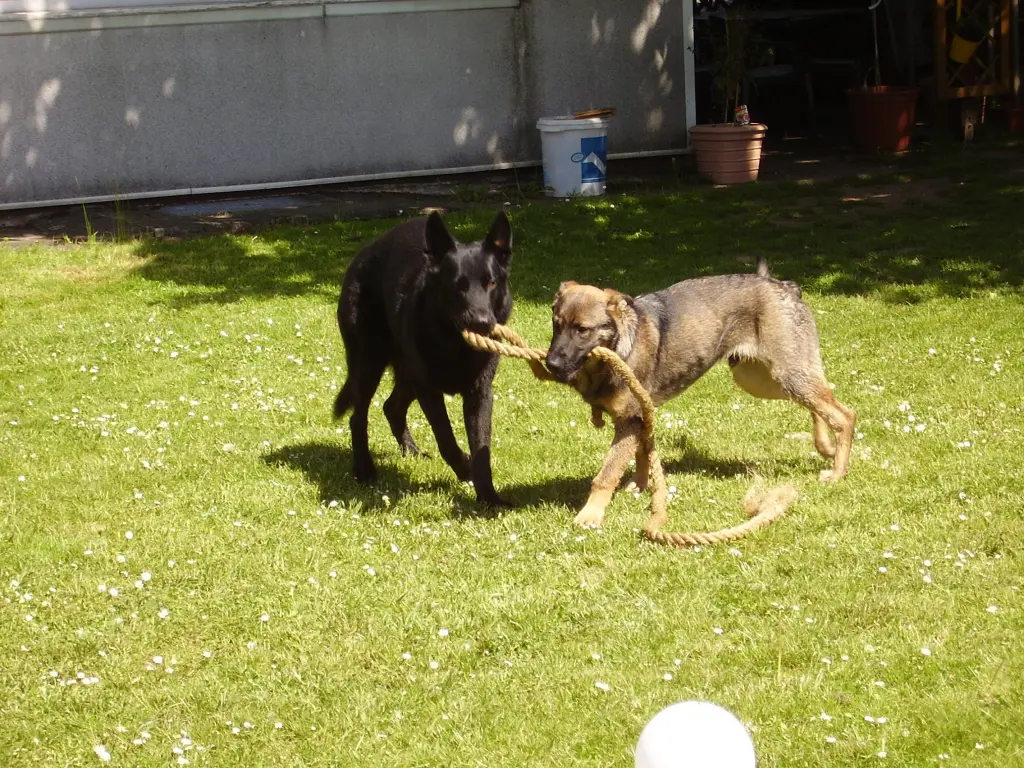 Image from DJ Dexter