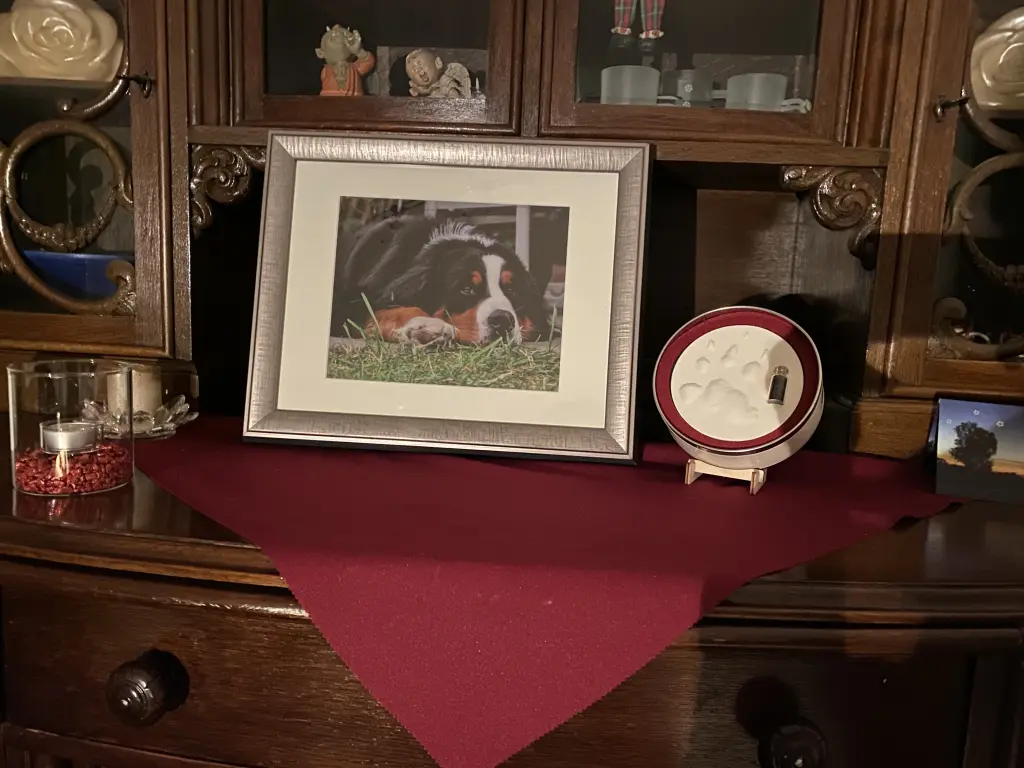 Condolence image of Gabriela