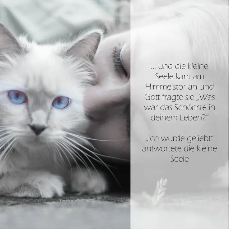 Condolence image of Andrea mit Minki im ❤ gest.19.10.20