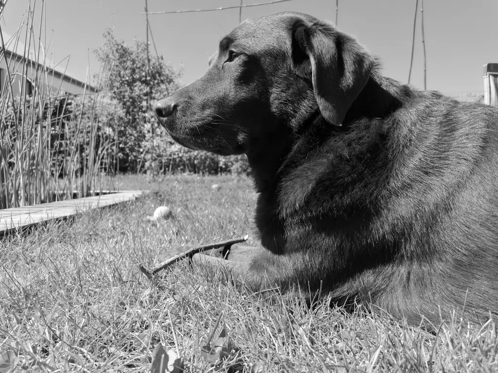 Image from Méllie