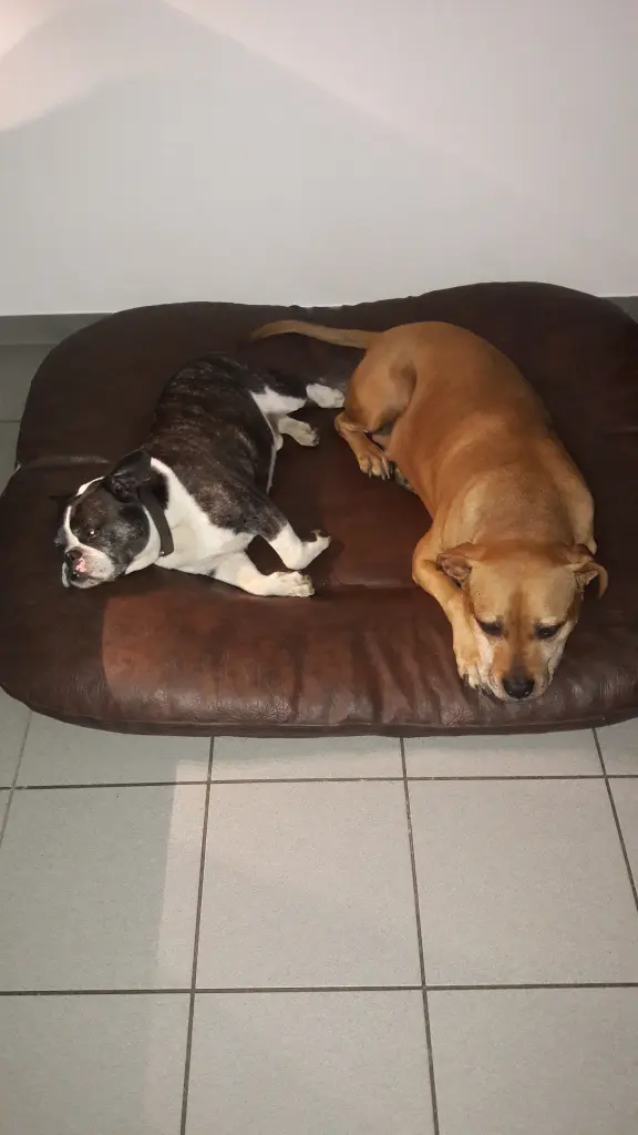 Condolence image of Ralf