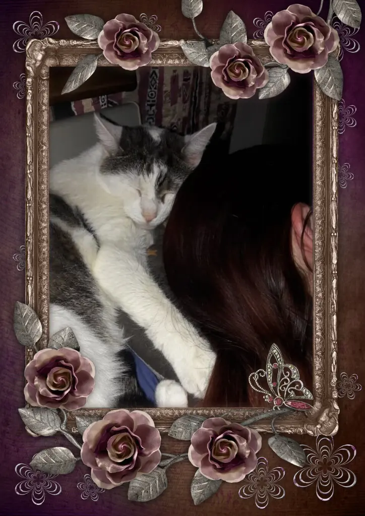 Image from Skippy