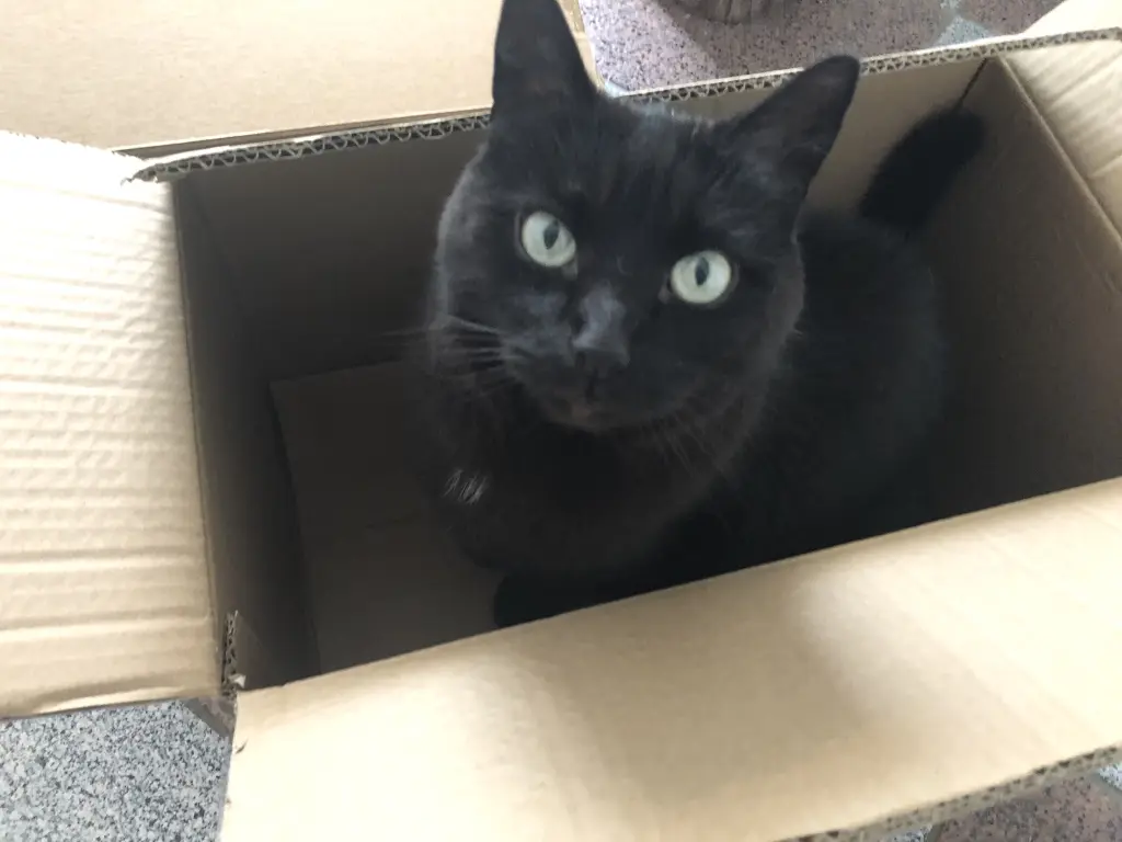 Condolence image of Tanja mit Freddy