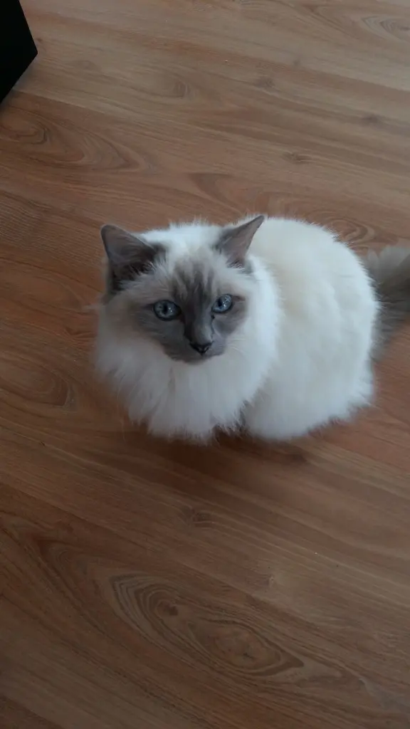 Condolence image of Sabrina mit Annabell tief im Herzen