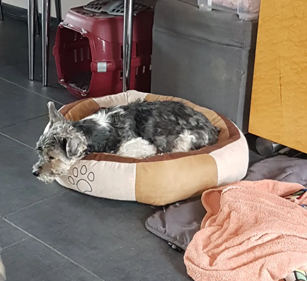 Image from Flecki