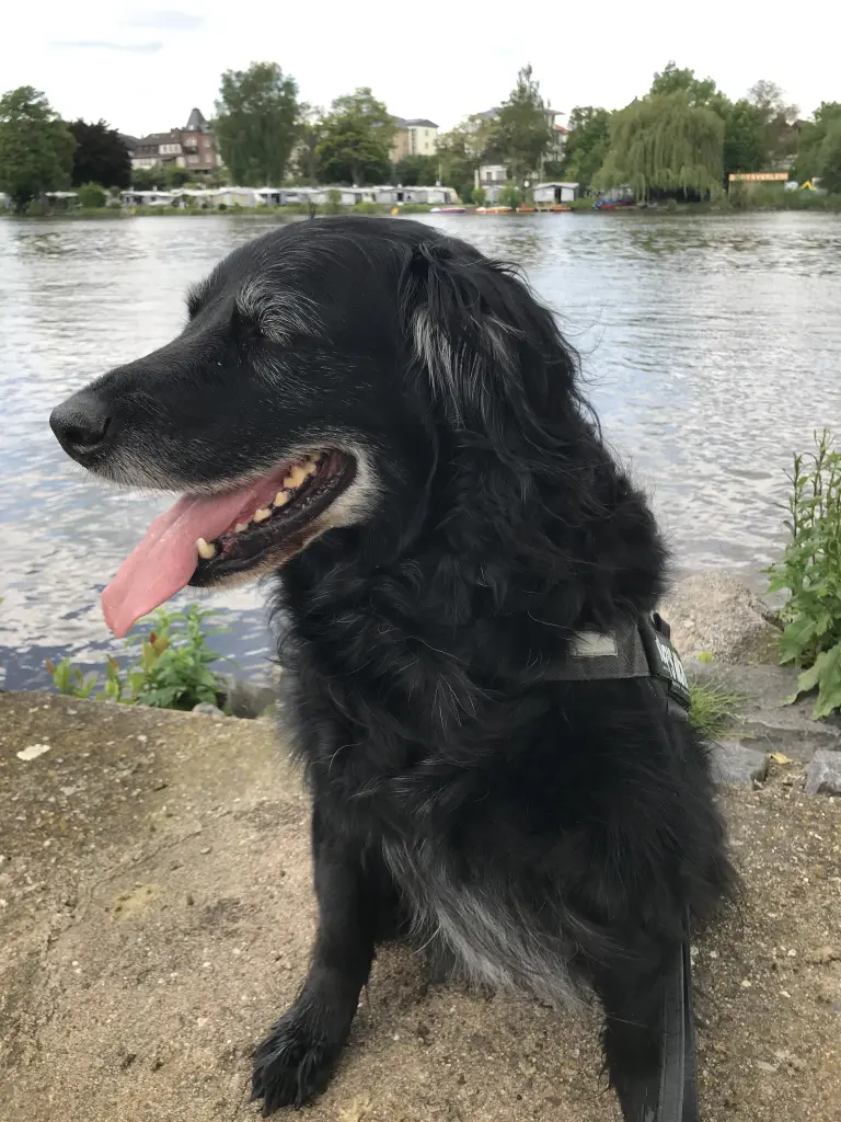 Bild von Lulu