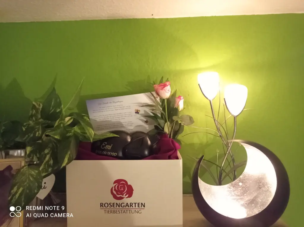 Condolence image of Patricia