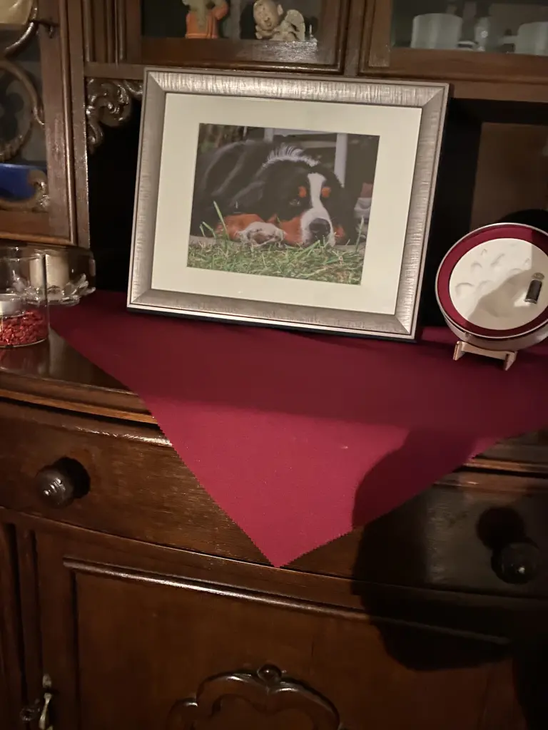 Condolence image of Gabriela