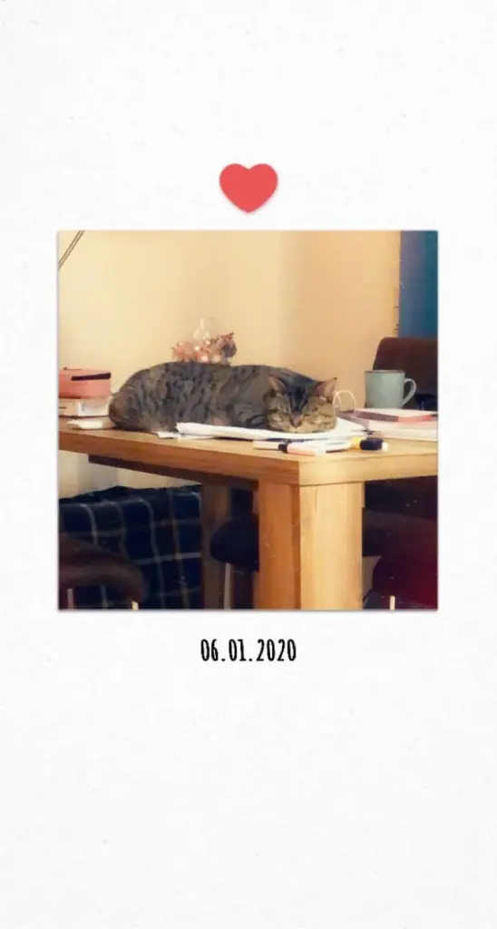 Condolence image of Unbekannt