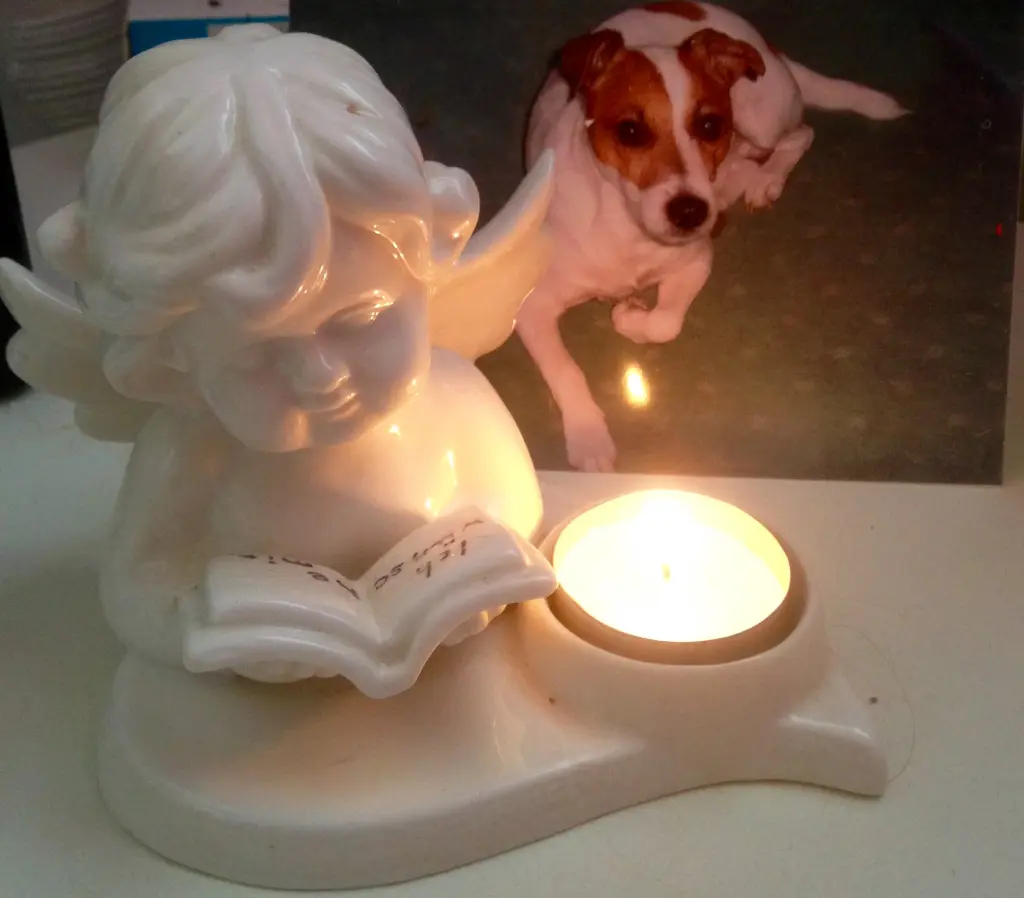 Image from Lucky
