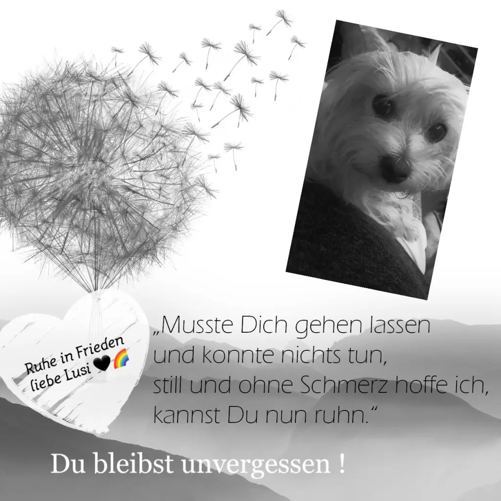 Image from Lusi