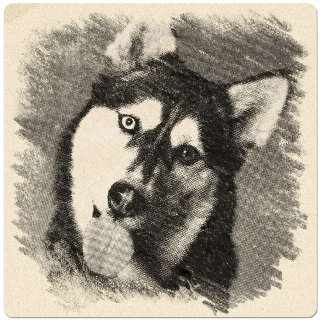 Image from Noora