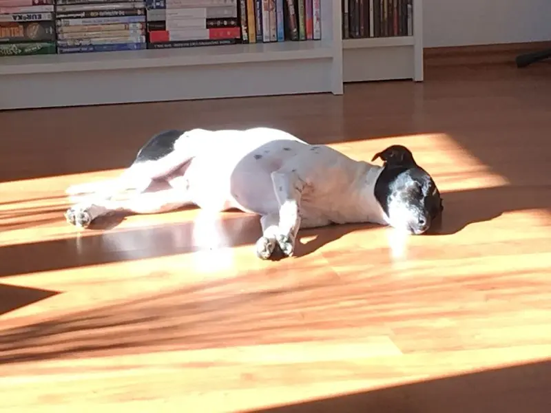 Condolence image of Sascha