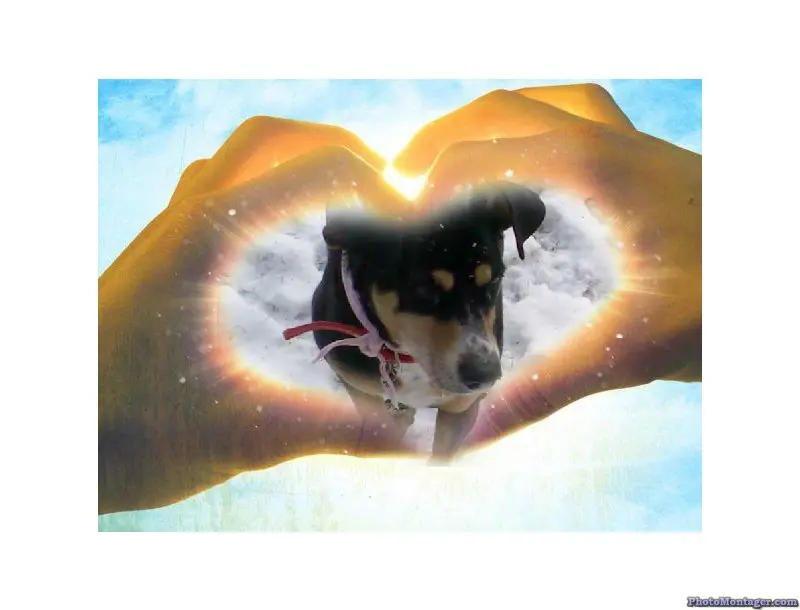 Condolence image of Petra Schuch