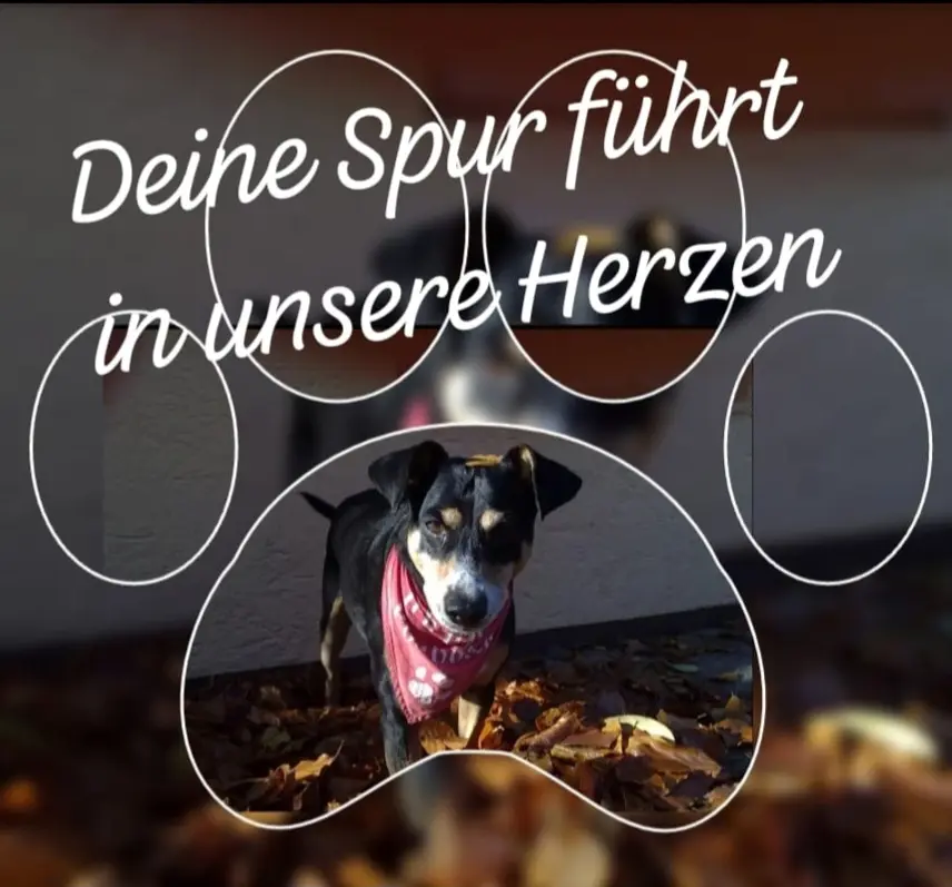 Condolence image of Deine Familie