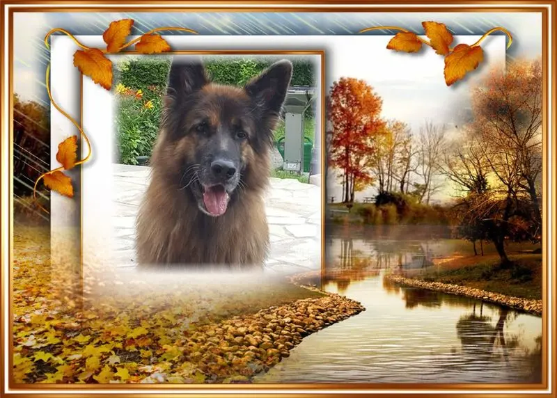 Condolence image of uwe