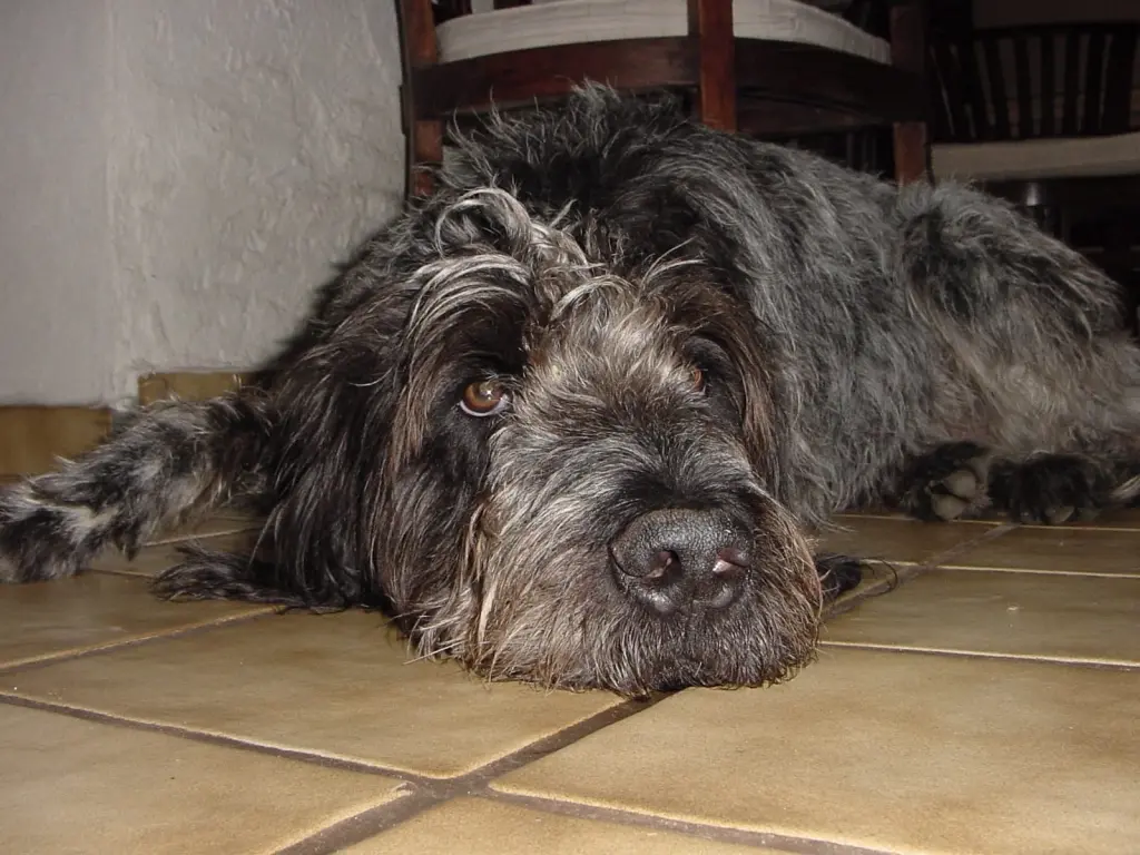 Condolence image of Simone