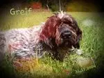 Condolence image of Simone