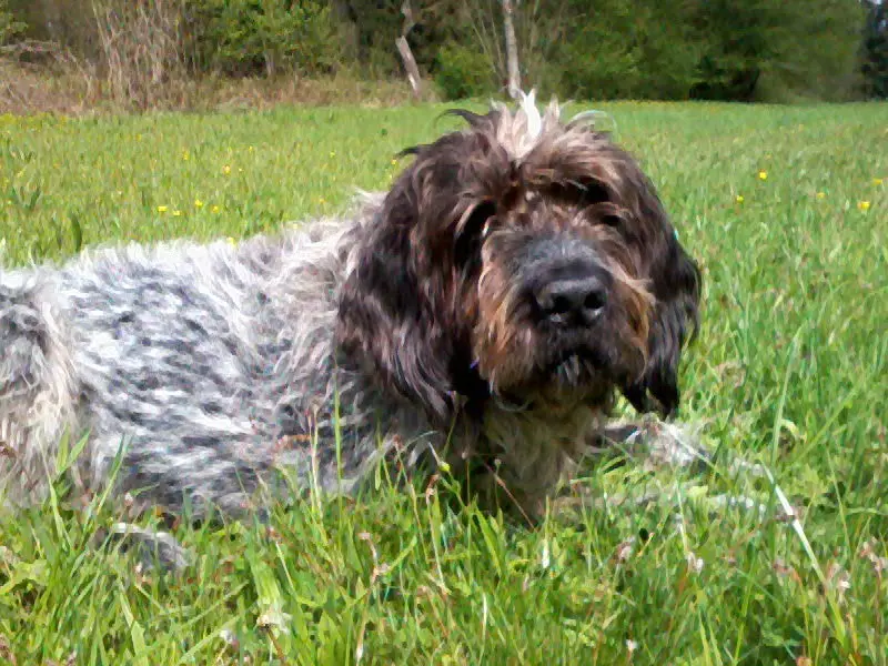 Condolence image of Simone