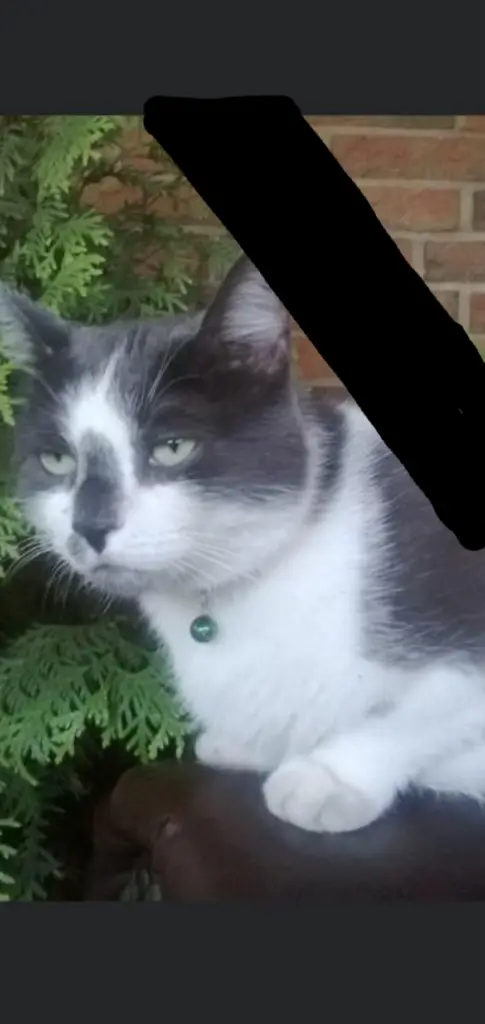 Condolence image of Beate