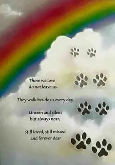 Condolence image of Andrea mit Minki im ❤ gest.19.10.20