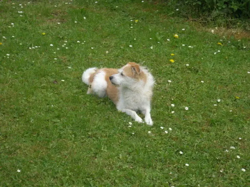 Condolence image of Unbekannt