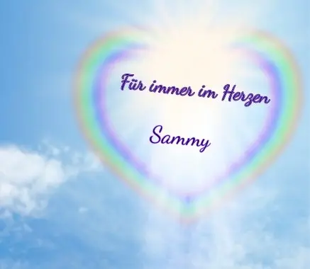 Condolence image of Chantal und Kessy im ❤️