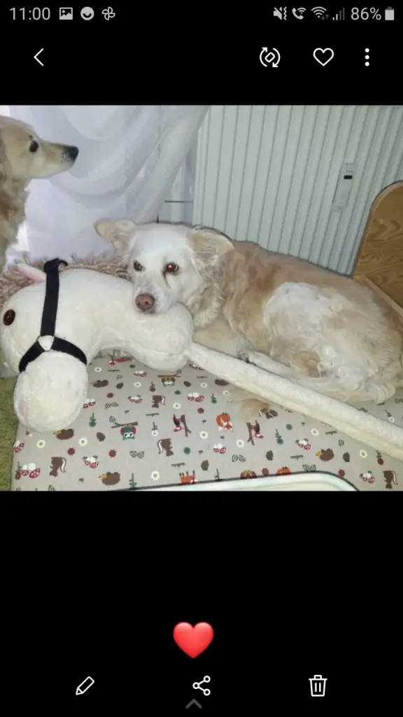 Image from Sammy