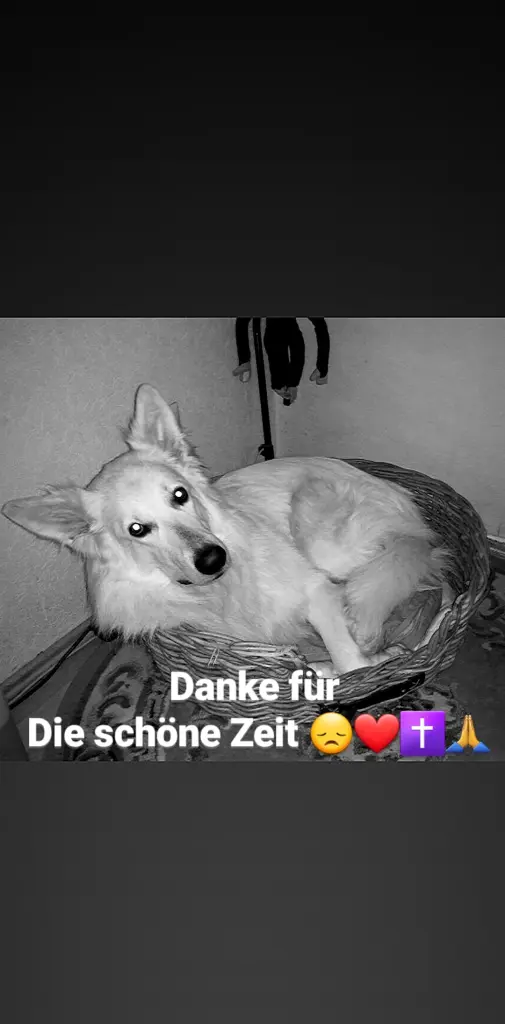 Andachtsbild von Vanessa