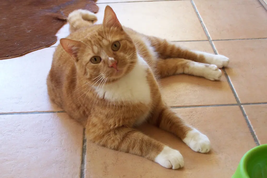 Image from Rusty